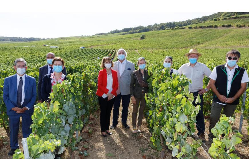 Tournée préfectorale dans les vignes de Champagne