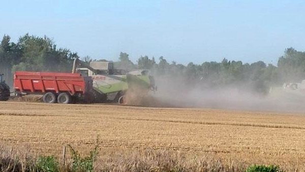 Temps de travail pendant la moisson : nouvelle dérogation pour 2021 Temps de travail pendant la moisson : nouvelle dérogation pour 2021