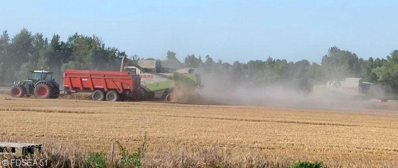 Temps de travail pendant la moisson : nouvelle dérogation pour 2021