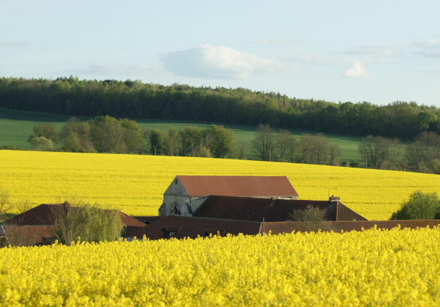 Le biofuel, une variante pour les foyers