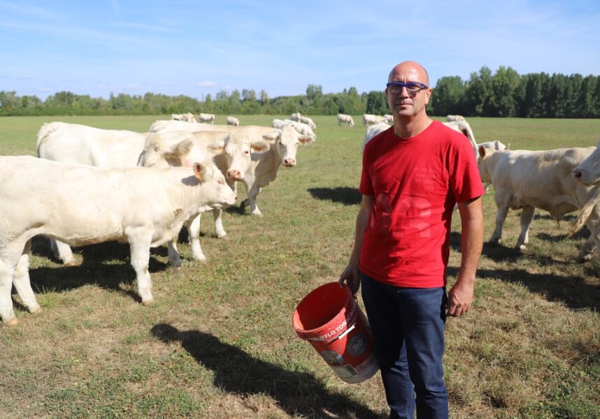 Foire de Châlons :  une viande Label rouge à Vraux