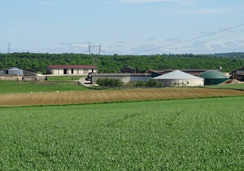 Du bail rural au statut du fermage