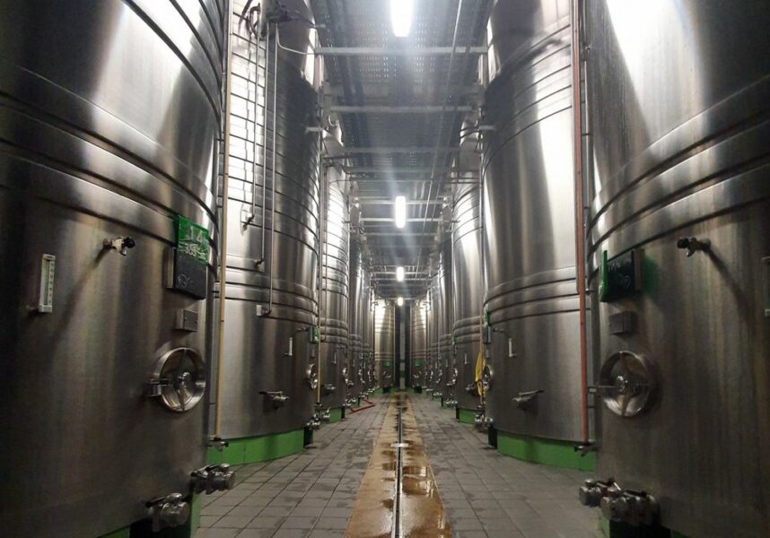 Premier bilan champagne : des vignerons comblés Premier bilan champagne : des vignerons comblés
