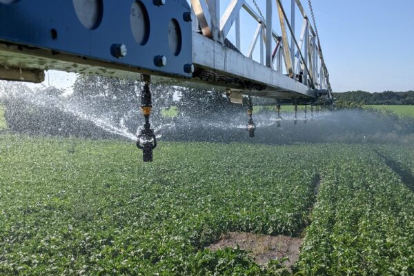 Quantités d’eau, rendements et marges : les systèmes d’irrigation à la loupe