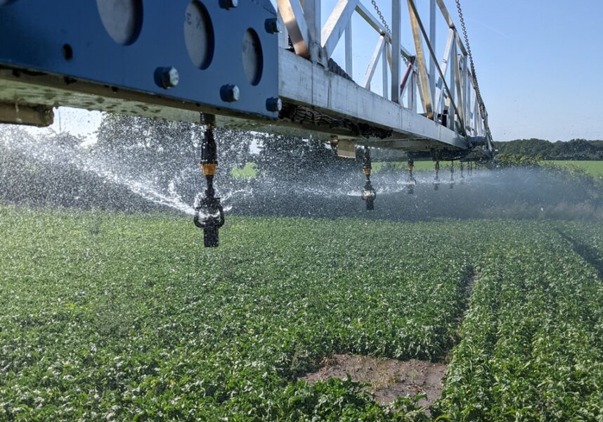 Quantités d’eau, rendements et marges : les systèmes d’irrigation à la loupe