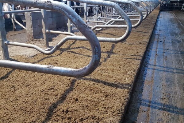 Bâtiments agricoles : Des logettes sur lisier déshydraté grâce au séparateur de phases