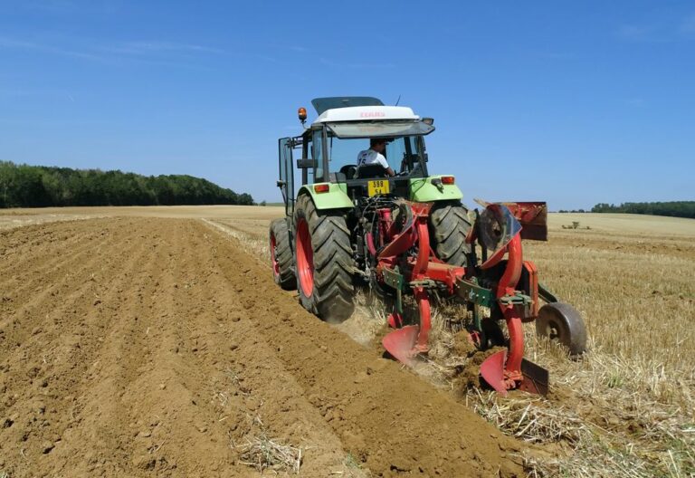 Le mode d’emploi de l’autorisation d’exploiter - La Marne Agricole