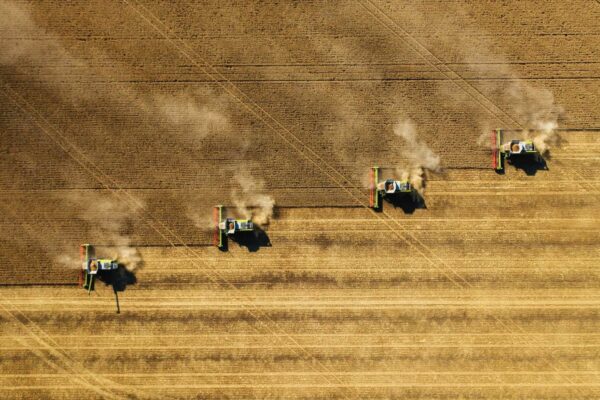 Céréales : le retour aux fondamentaux confirmé