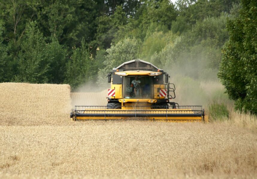 Dans la Marne la moisson tire sur la fin