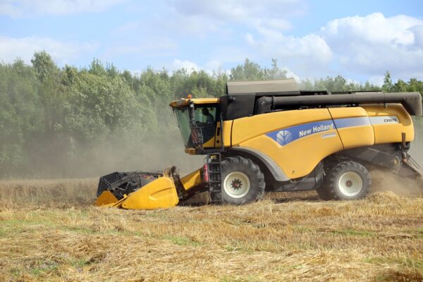 Moisson : Des colzas poussifs, des blés plutôt qualitatifs dans la Marne