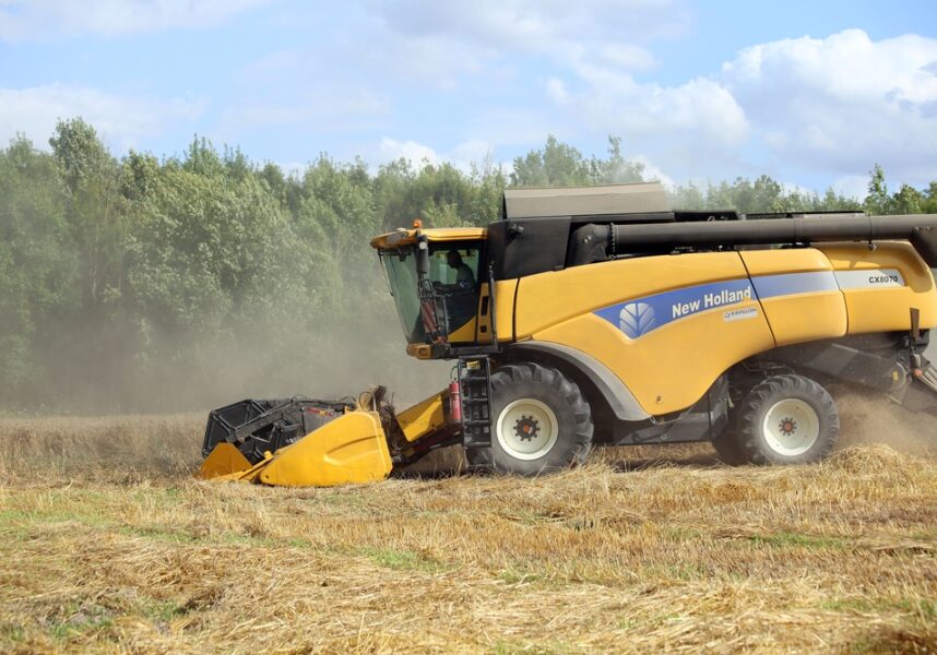 Moisson : Des colzas poussifs, des blés plutôt qualitatifs dans la Marne
