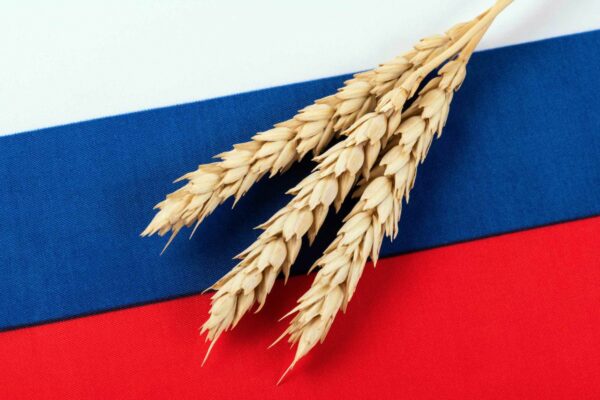 Moscou a mis la main sur le marché mondial du blé