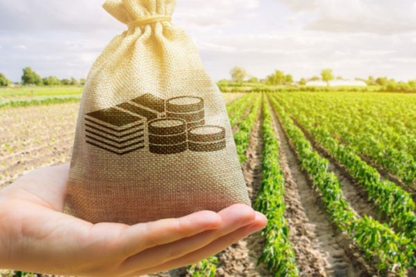 Le revenu agricole baisserait en 2023