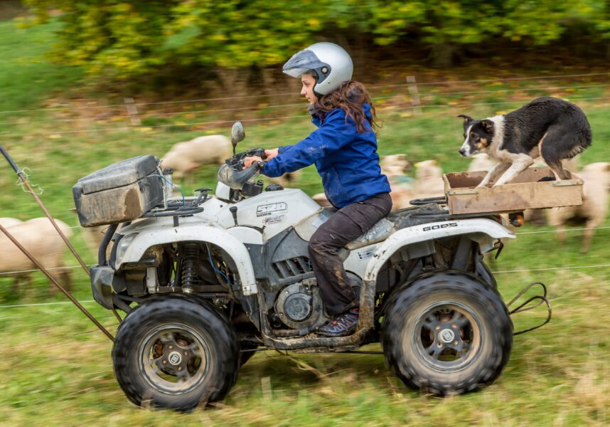 Légère progression des installations en 2022 Légère progression des installations en 2022