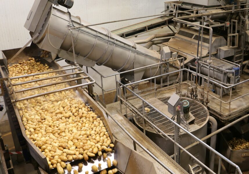 Pommes de terre : « maîtriser le développement de la demande » Pommes de terre : « maîtriser le développement de la demande »