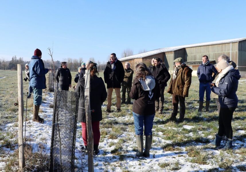 Grand Est : la Région mobilisée en faveur des haies