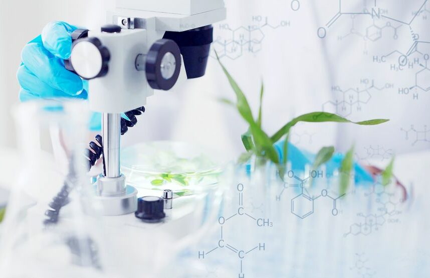 Innovation variétale des plantes : vers la reconnaissance des NGT