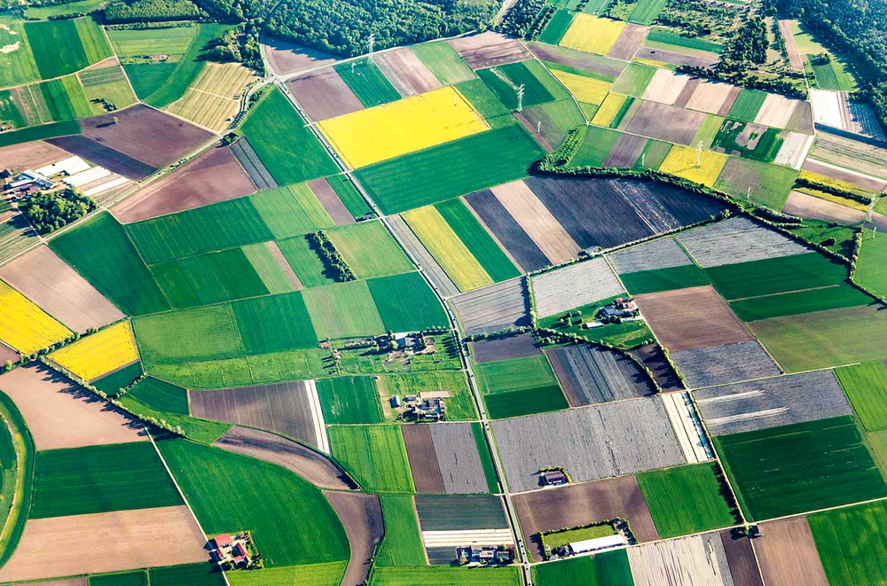 Reims La Marne Agricole Faciliter l’accès à la terre pour encourager l’installation : Au cours des dix prochaines années, dix millions d’hectares vont changer de mains. Une nouvelle génération d’agriculteurs et de propriétaires émergera.