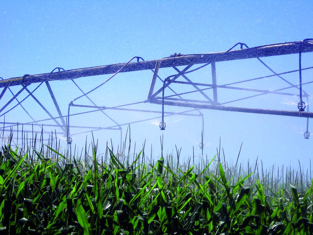 Reims La Marne Agricole Irrigation : la technologie au service de la gestion de l’eau En jouant sur le matériel et le pilotage de l’irrigation, les agriculteurs peuvent réduire de façon conséquente les prélèvements en eau.
