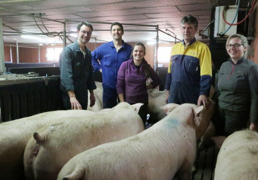 Élever du porc dans la Marne : dans le respect des règles du bien-être animal