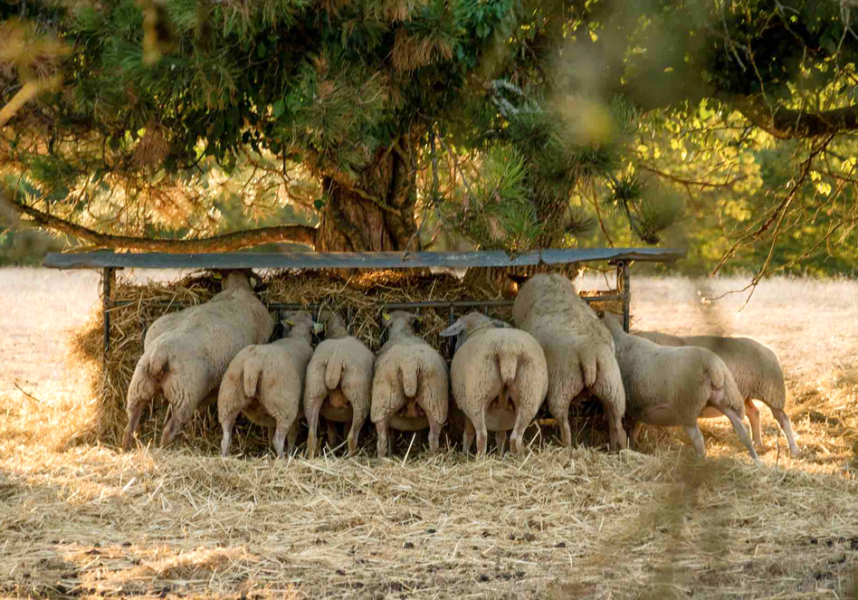 Les stratégies « gagnant-gagnant » d’Epiterre