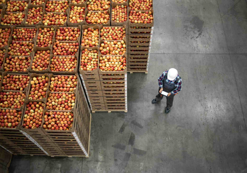 La souveraineté alimentaire vue par les pouvoirs publics