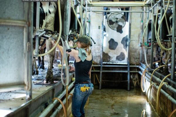 Producteurs de lait : priorité au revenu des éleveurs et au renouvellement des générations