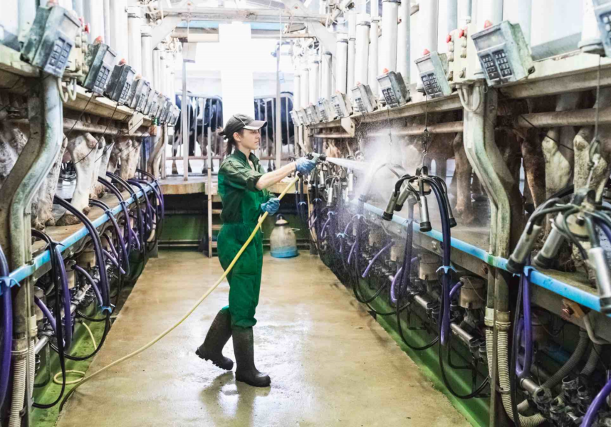 Lait : renouvellement des générations, le pic démographique est passé