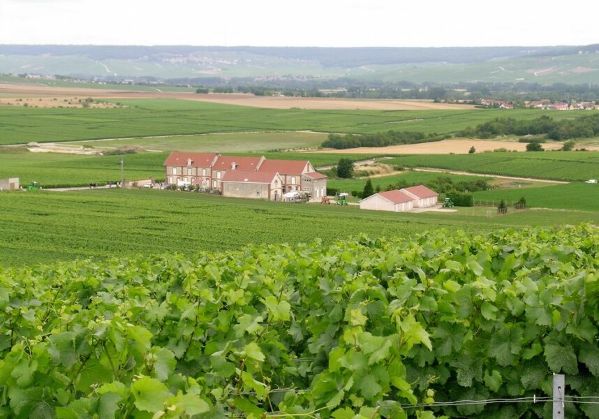Champagne : le prix des vignes à la hausse en 2023 Champagne : le prix des vignes à la hausse en 2023