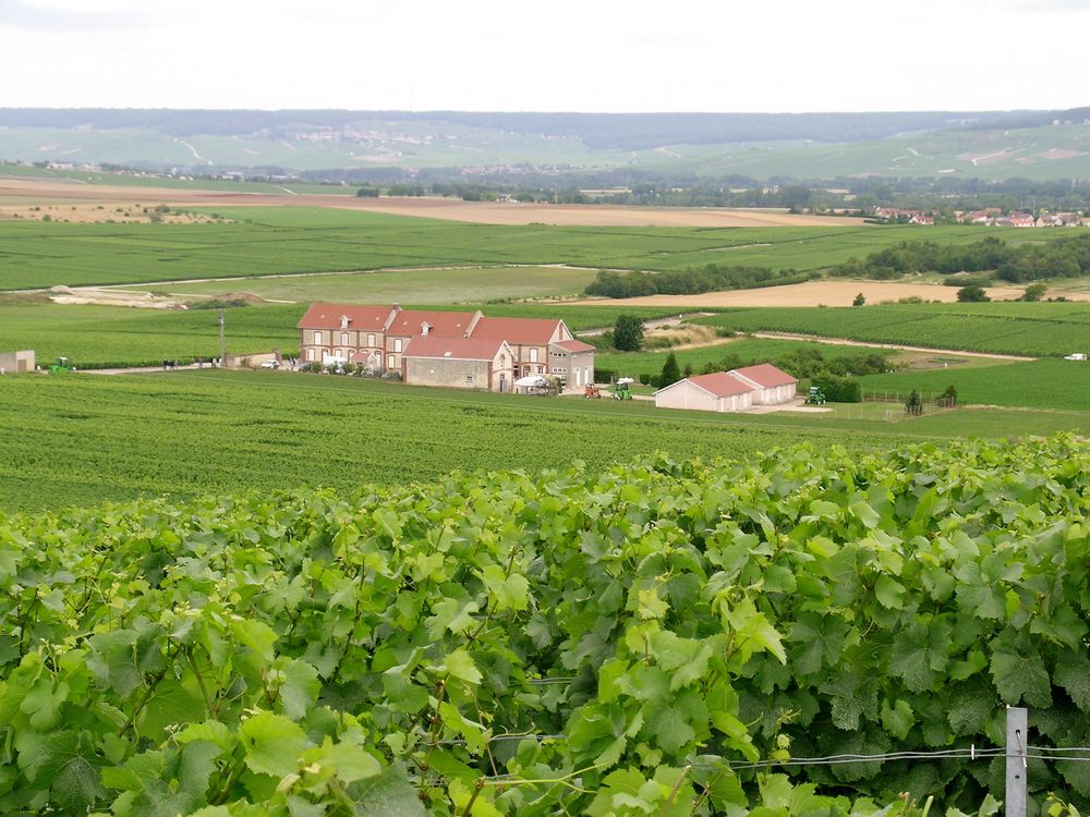 Reims La Marne agricole Champagne : le prix des vignes à la hausse en 2023 La Fédération nationale des Société d’aménagement foncier et établissement rural (FNSafer) vient de présenter ses chiffres sur le foncier agricole et viticole en France. En Champagne le prix des terres en AOP progressent de 2,3% à 1,09 million d’euros l’hectare. La Côte des Blancs est à 1,68 M€/ha.