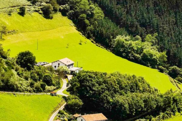 France : le prix des terres agricoles en légère hausse