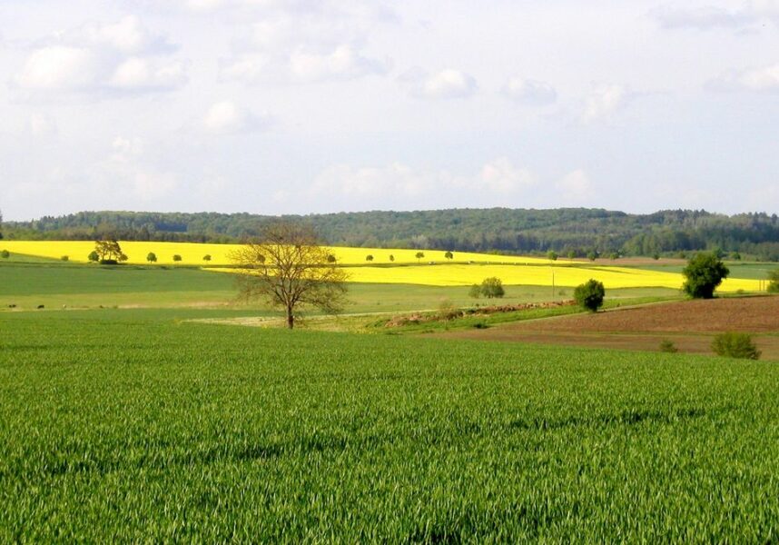 Les propriétaires ruraux souhaitent muscler la loi d’orientation agricole