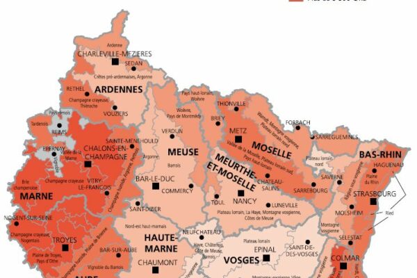 Prix des terres en Grand Est : céréales en hausse, élevage en baisse