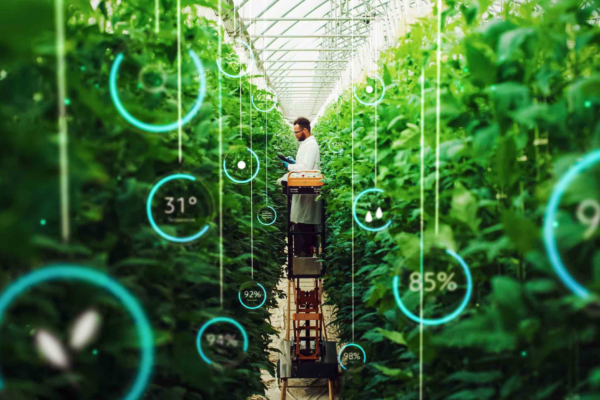 L’intelligence artificielle au service de l’agriculture