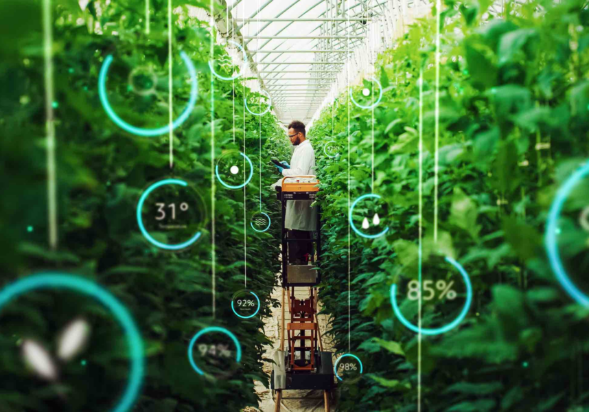L’intelligence artificielle au service de l’agriculture L’intelligence artificielle au service de l’agriculture