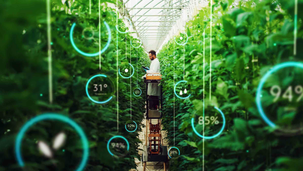 Reims La Marne Agricole L’intelligence artificielle au service de l’agriculture L’intelligence artificielle est compatible avec l’agriculture familiale et avec l’agroécologie, parce qu’adaptable à du matériel existant, elle ne nécessite pas d’achats coûteux en équipements. Elle est donc à la portée d’une exploitation à taille humaine. De plus, elle permet d’ajuster les intrants aux besoins des plantes et du bétail de façon précise. C’est ce qui ressort d’un débat organisé par l’Acta, la tête de réseau des instituts techniques agricoles.