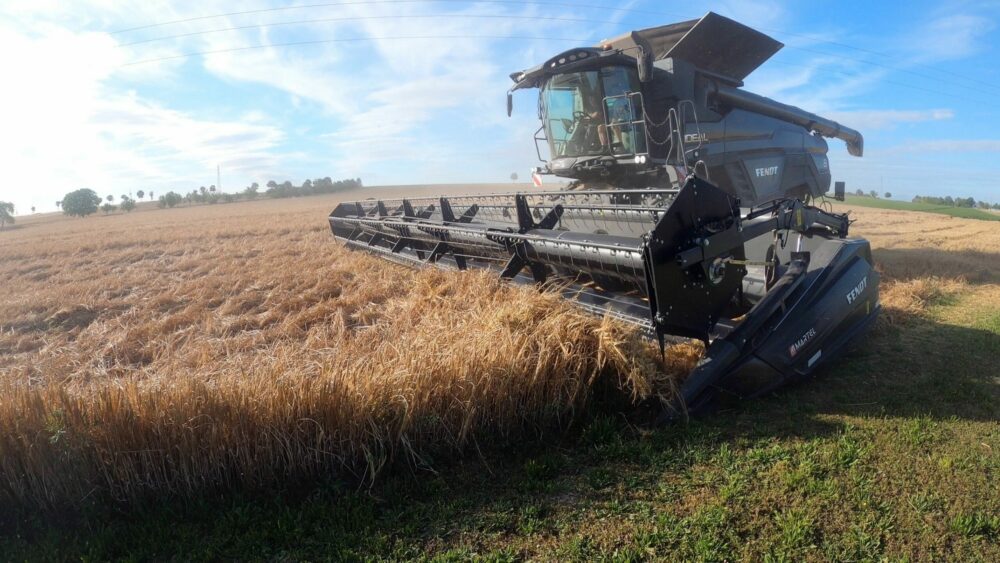 Reims La Marne Agricole Interrompue par les orages la moisson a repris dans la Marne. Les premiers blés arrivent dans les silos et ils ne sont pas brillants mais il est trop tôt pour fixer la tendance. Les rendements devraient être en net recul, autour de -20 %. Les blés scrutés de près