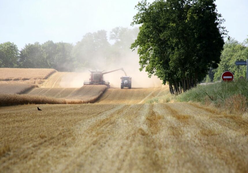 Moissons 2024 dans la Marne : un début très morose selon la Chambre d’agriculture