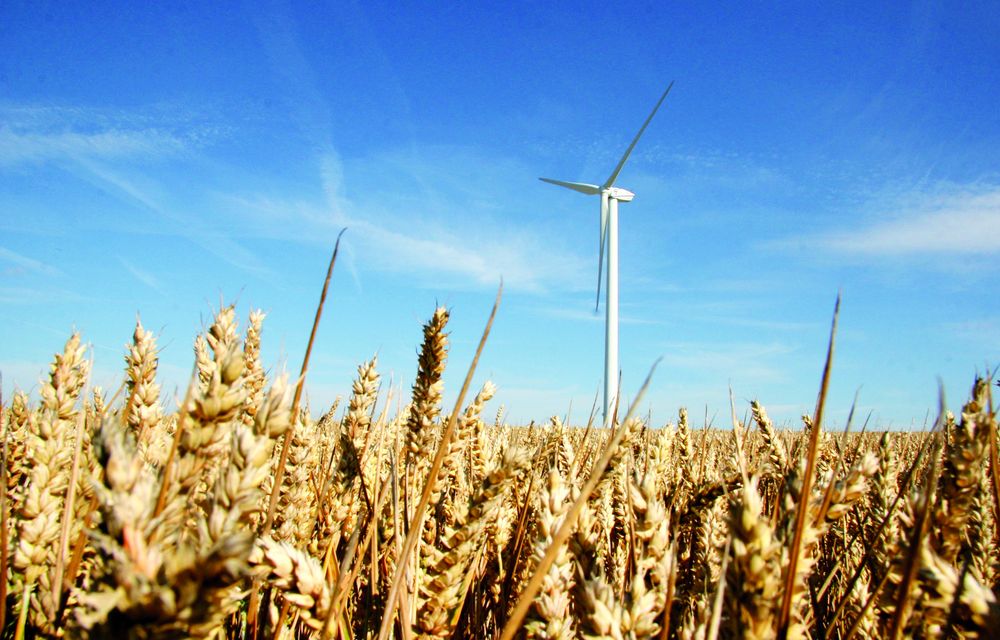 Reims La Marne Agricole Législatives : l’agriculture dans l’incertitude Malgré un résultat surprise, le second tour des législatives a fait tomber peu de candidats agricoles, à l’exception de Grégoire de Fournas (RN) et d’Éric Girardin (Ensemble). Au lendemain des résultats qui n’ont dégagé aucune majorité absolue, l’agriculture ne sait pas encore – à l’instar de la France – quelle direction lui fera prendre le futur gouvernement. La gauche promet un nom pour Matignon dans la semaine, Attal reste pour l’instant en poste. Dans l’hypothèse d’un gouvernement Nouveau front populaire, les yeux se tournent vers trois personnes pour le poste de ministre de l’Agriculture : Aurélie Trouvé, Dominique Potier et Benoît Biteau. Mais pour quel programme ?