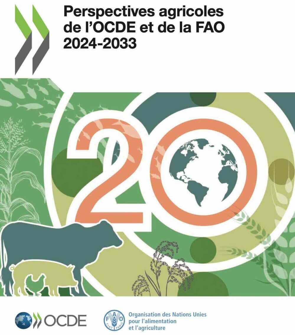 Reims La Marne Agricole Agriculture mondiale : toujours plus de céréales et de viandes Au cours des dix prochaines années, la croissance de la production agricole mondiale sera essentiellement portée par l’Inde et l’Afrique subsaharienne, selon l’OCDE et la FAO. Elle reposera essentiellement sur des gains de productivité et de rendement.