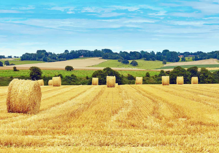 Décarbonation : l’agriculture sur la bonne voie