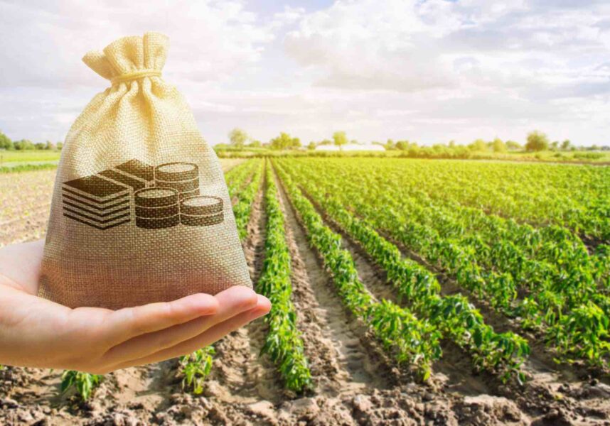 Repli des résultats de la Ferme France