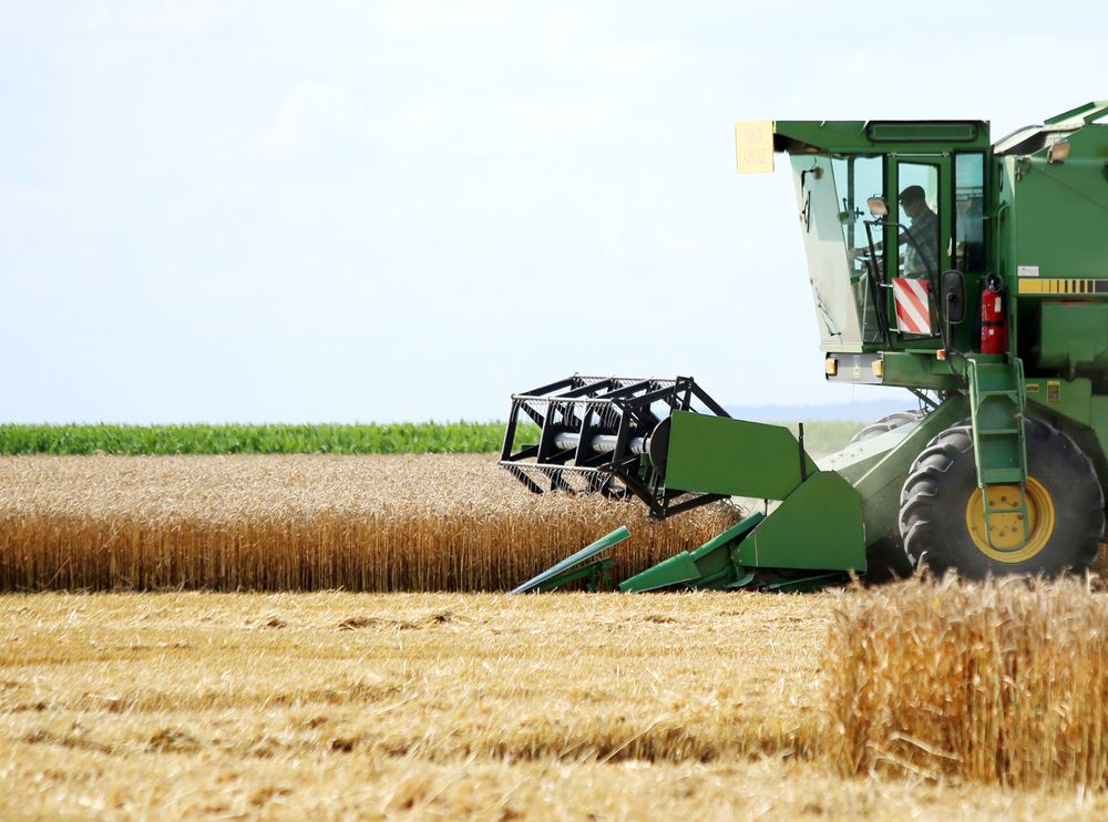 Reims La Marne Agricole RÉCOLTE Les rendements sont estimés en forte baisse après une année marquée par des conditions climatiques exceptionnelles. Les blés tendres dans le dur Les experts d'Arvalis et d'Intercéréales s'attendent à une récolte de blé tendre en France en deçà de celle de l'année dernière. Les conditions climatiques exceptionnellement pluvieuses qui ont perturbé la croissance du blé pénalisent les rendements.