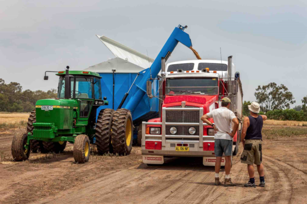 L’Australie pivot de la campagne de blé