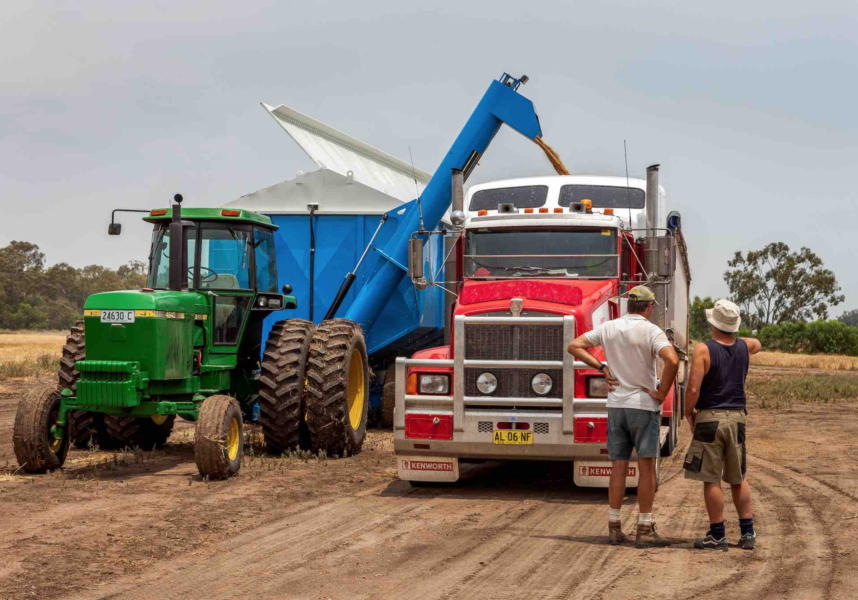 L’Australie pivot de la campagne de blé