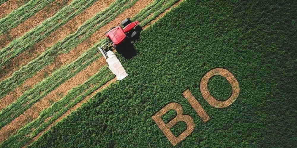 Reims La Marne Agricole Bio : les surmarges des distributeurs ne passent plus Avec l’inflation, cause de la chute de consommation d’aliments bio, les surmarges des distributeurs ne sont plus acceptées par les producteurs. Elles viennent renchérir leurs produits et compromettre la relance des marchés, pourtant vitale pour l’avenir de l’agriculture biologique.