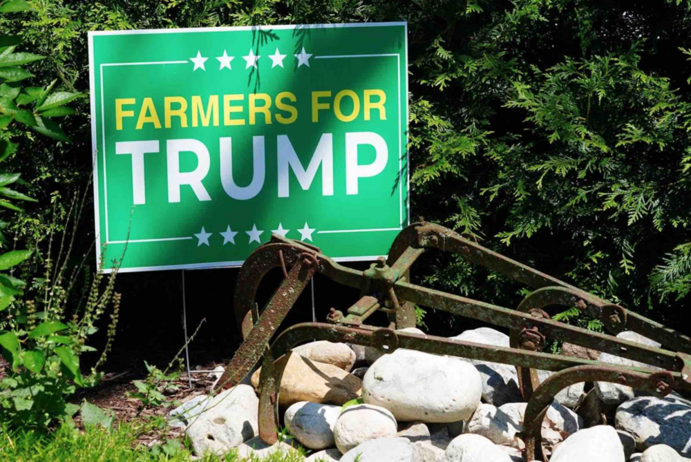 Reims La Marne Agricole États-Unis : le projet de Trump pour les agriculteurs L’ancien président des États-Unis a été investi pour représenter le camp des Républicains à l’élection présidentielle qui aura lieu le mardi 5 novembre prochain. L’occasion de se pencher sur son programme agricole. Rien ne dit qu’il sera appliqué à la lettre.