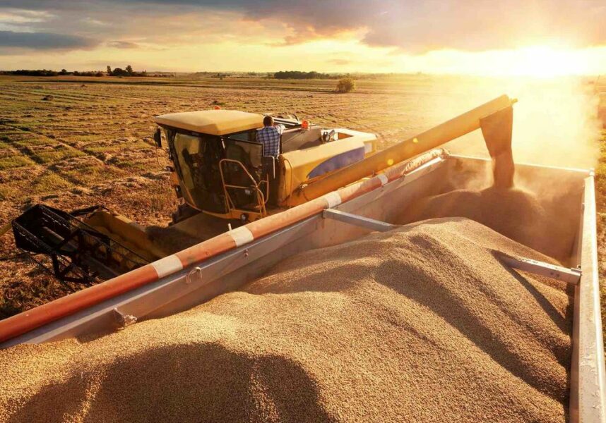 France : 10 millions de tonnes de céréales à paille seront récoltées en moins que l’an dernier