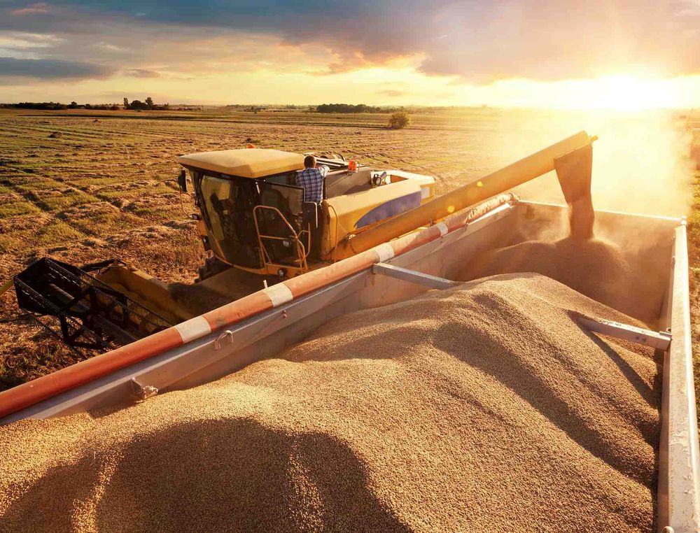 Reims La Marne Agricole France : 10 millions de tonnes de céréales à paille seront récoltées en moins que l’an dernier Les conséquences d’une mauvaise moisson. Dix millions de tonnes de céréales à paille seront récoltées en moins que l’an dernier dans l’Hexagone. L’ensemble des acteurs de la filière céréalière française est affecté par cette chute dans l’indifférence totale des marchés mondiaux.