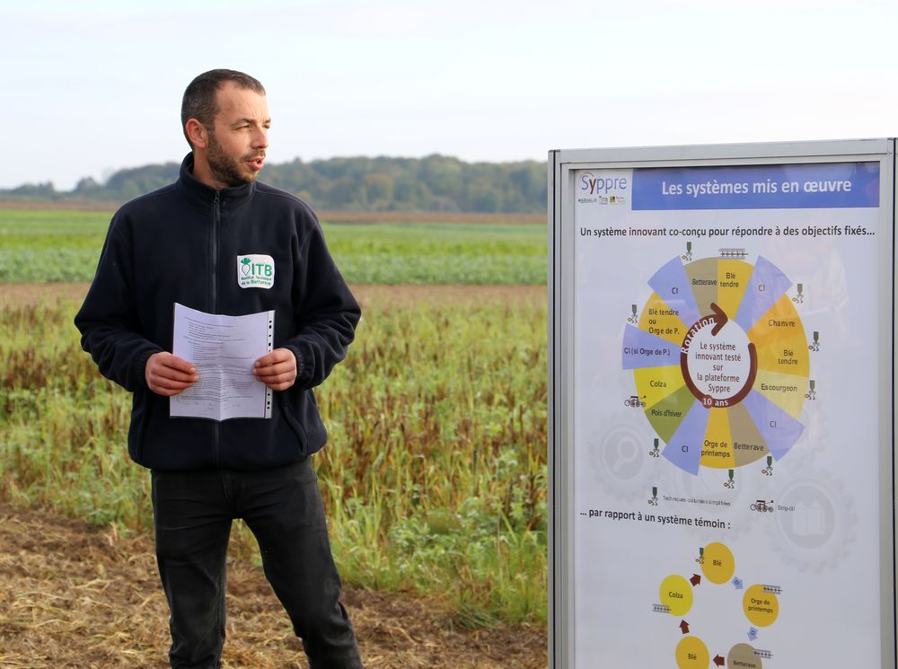 Reims La Marne Agricole AGRONOMIE Lancée en 2014, la plateforme inter-instituts Syppre en terres de craie de Champagne a livré ses premiers résultats. Ils sont décevants sur le plan économique. Bétheny : déception économique pour la plateforme d’essais Syppre